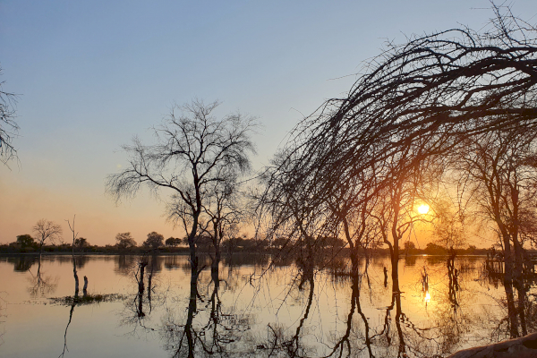 Simbabwe, Botswana und Namibia
