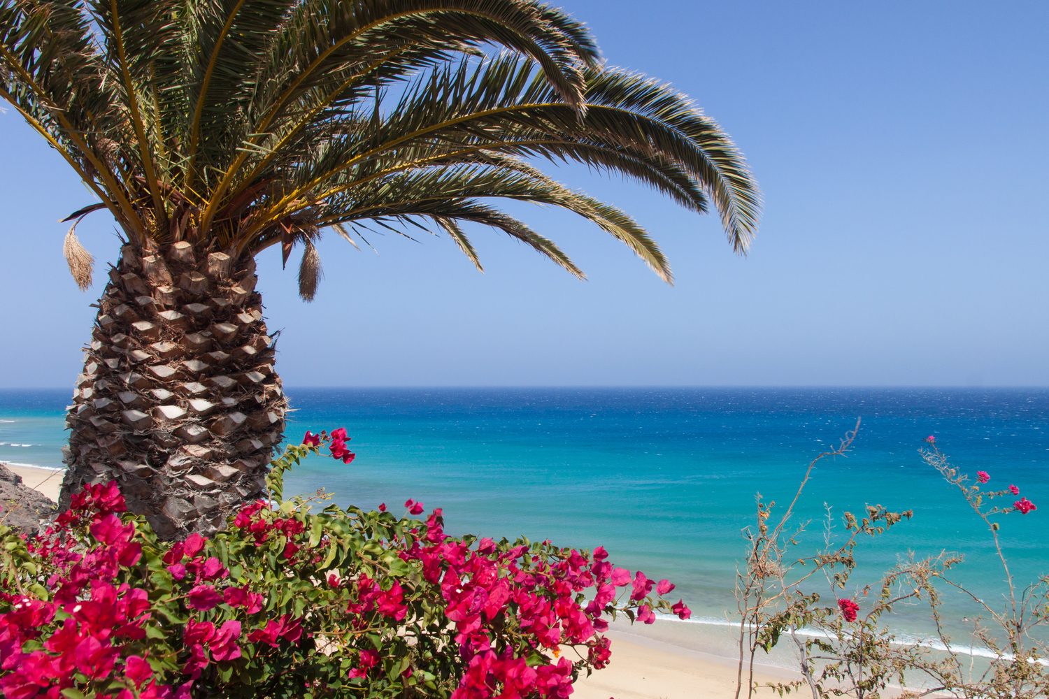 Magic Life Fuerteventura