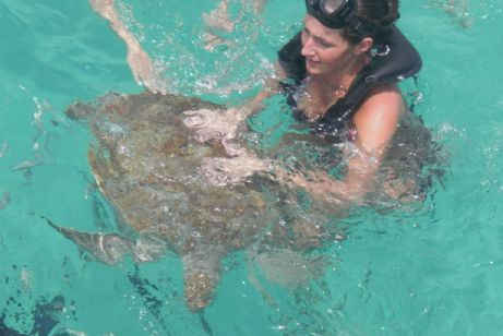 Barbados = Schwimmen mit den Schildkröten