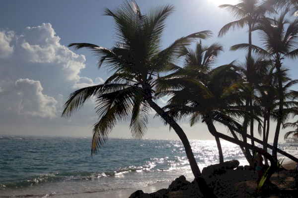 RIU Palace Bavaro – Dominikanische Republik